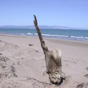 Casa Delta Del Ebro Apartamento Deltebre